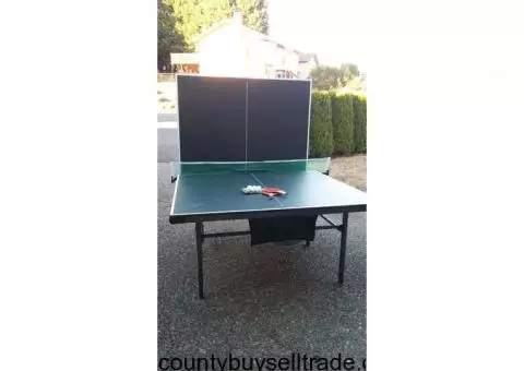 Ping Pong Table-Easy to Store and Move