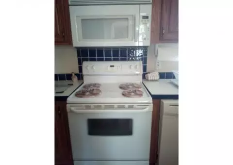 ELECTRIC RANGE SELF-CLEANING