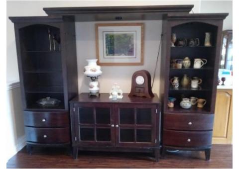 entertainment center - dark wood and contemporary