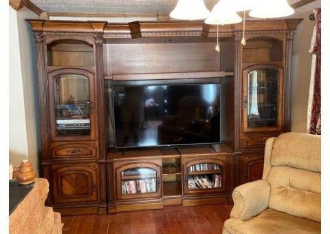 One Of A Kind Entertainment Center