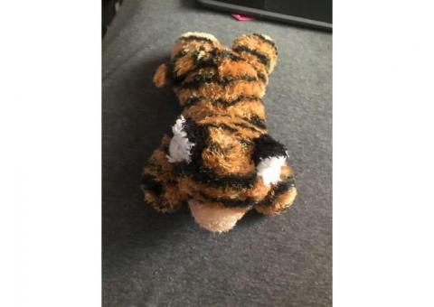 small tiger/cat stuffed animal (cash only please)