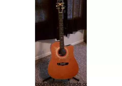 Estaban Electric Acoustic Guitar