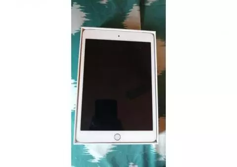 iPad Mini