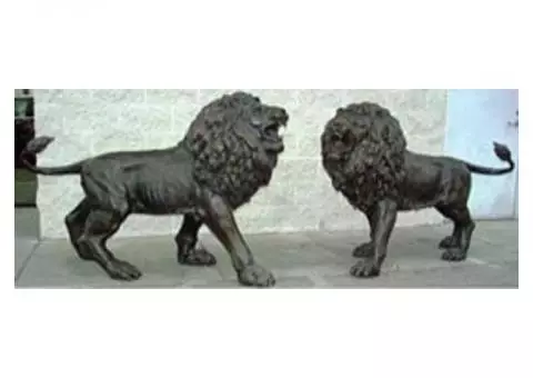 Magnificent Bronze Lions for Sale!