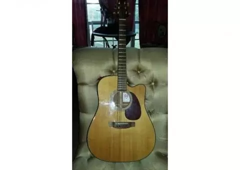 Acoustic/Electric Guitar