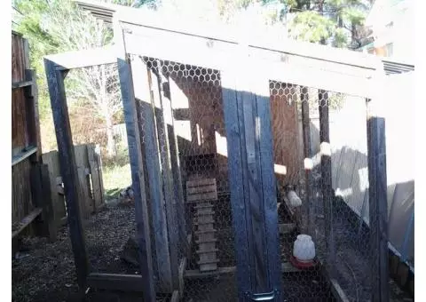 Chicken coop tractor and chickens