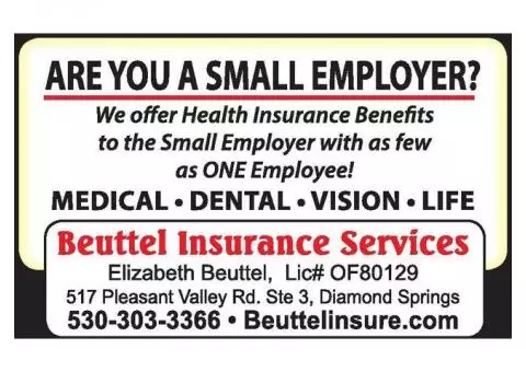Small Group- Health Insurance for Small Business