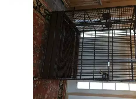 Kings 506 Parrot Cage