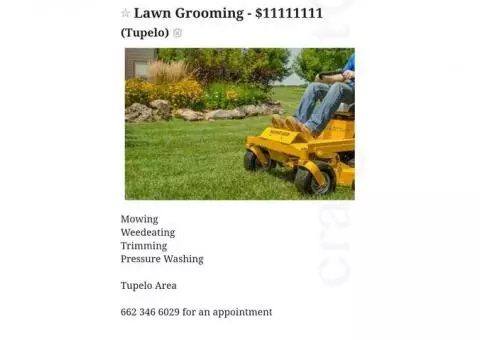 Lawn Sevices