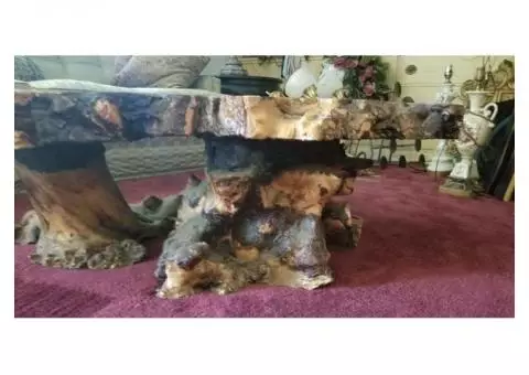 BEAUTIFUL CYPRESS TREE WOOD COFFEE TABLE SEALED WITH CLEAR HIGH GLOSS SEALANT