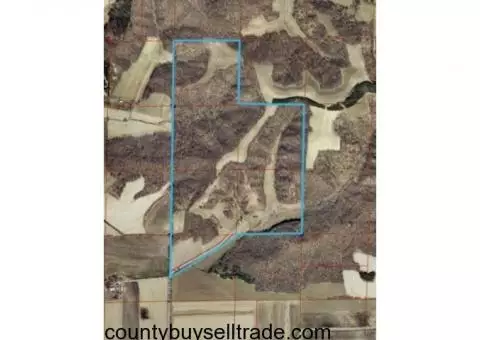 212 Acres: Outstanding Hunting!